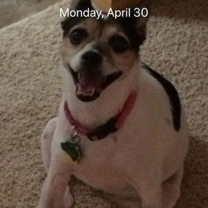 Meet your Posher, April